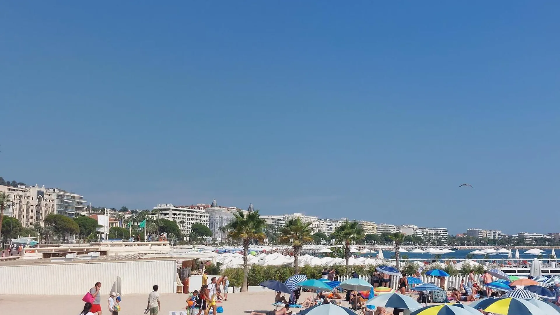 Cavell Suites - Cannes 0*,  France